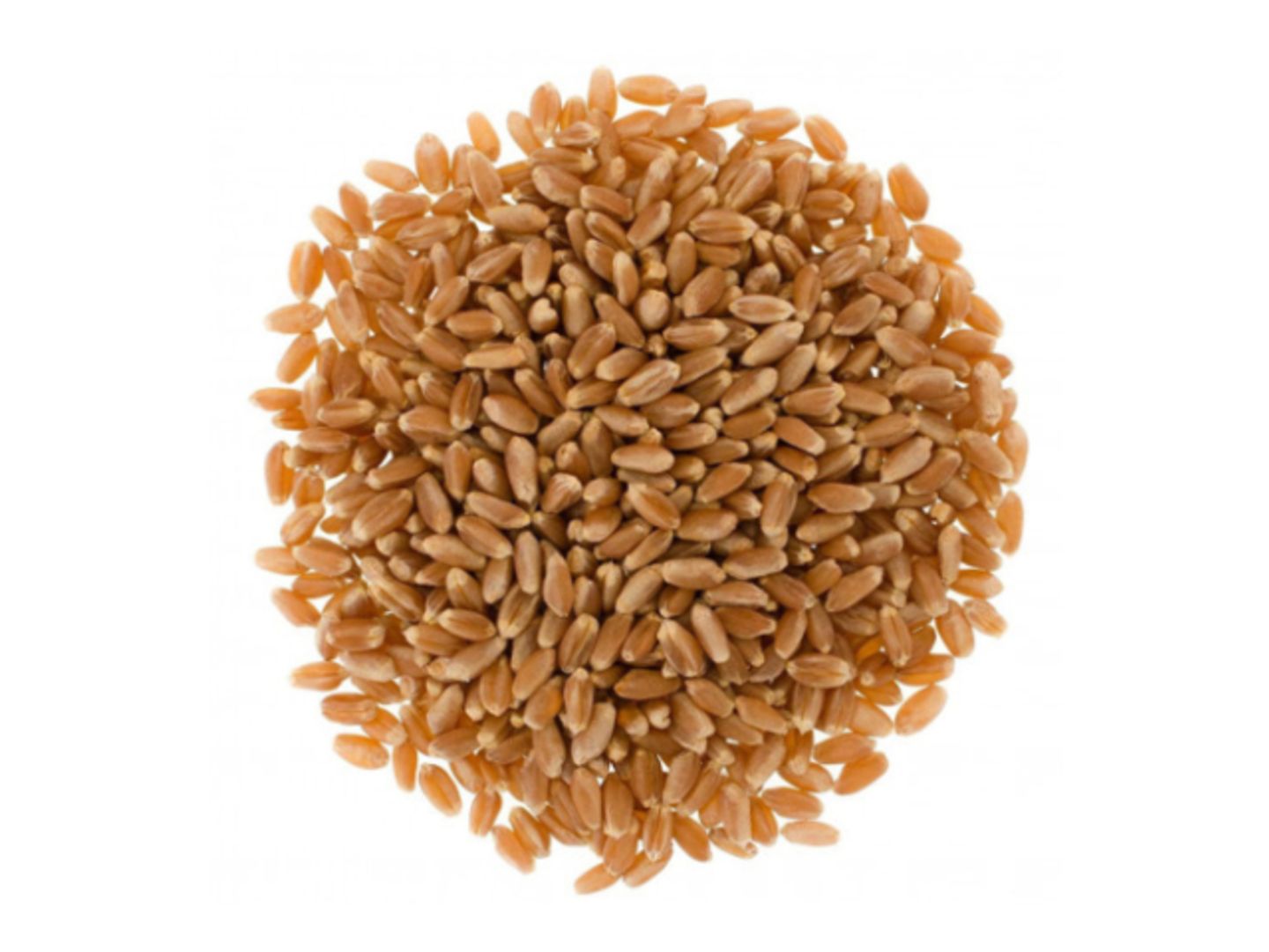 Grounded Qassim Barley - 1 Kg