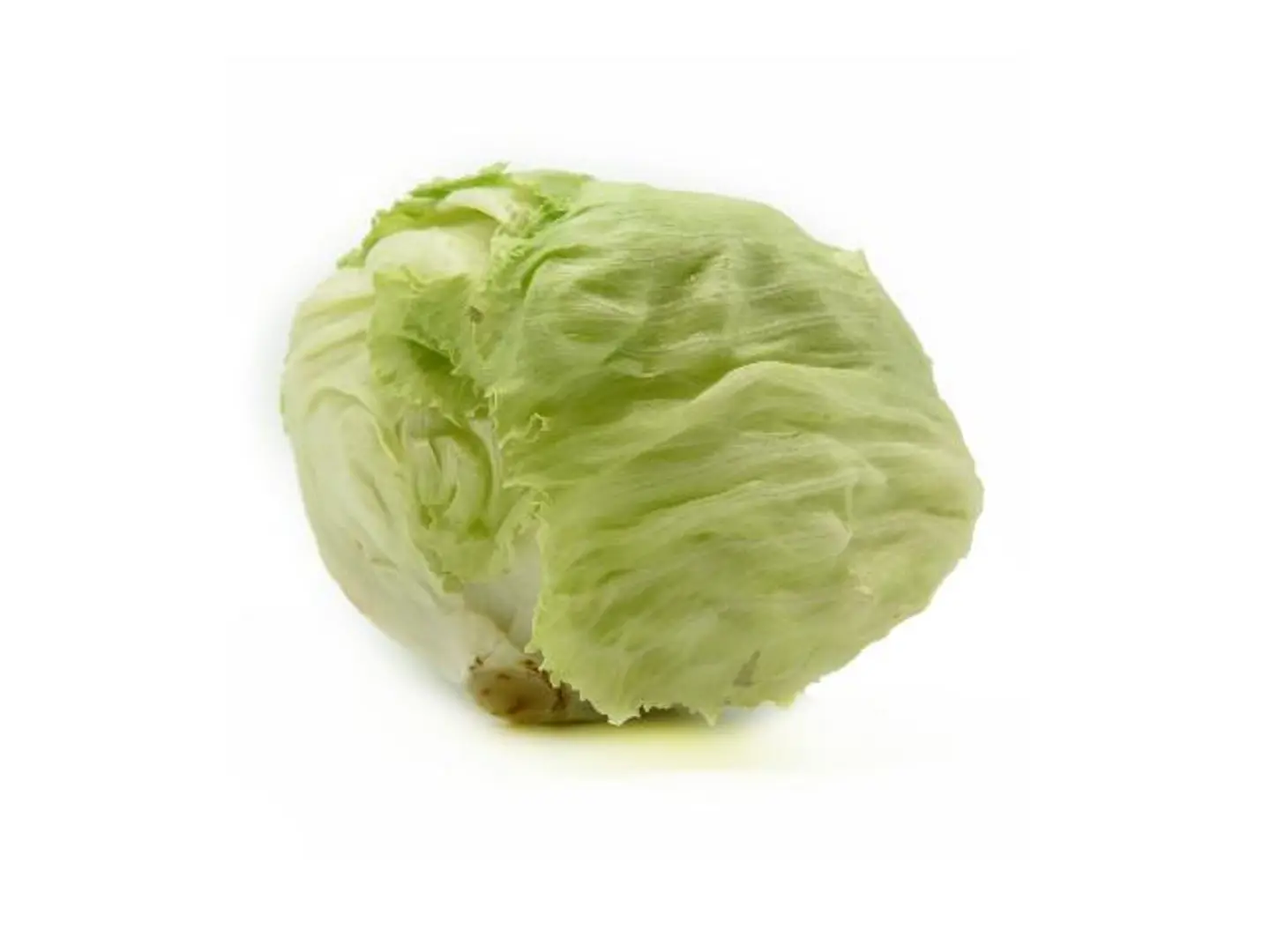 ملفوف حبه
