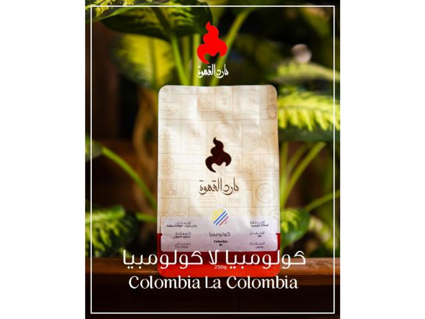 كولومبيا لا كولومبيا