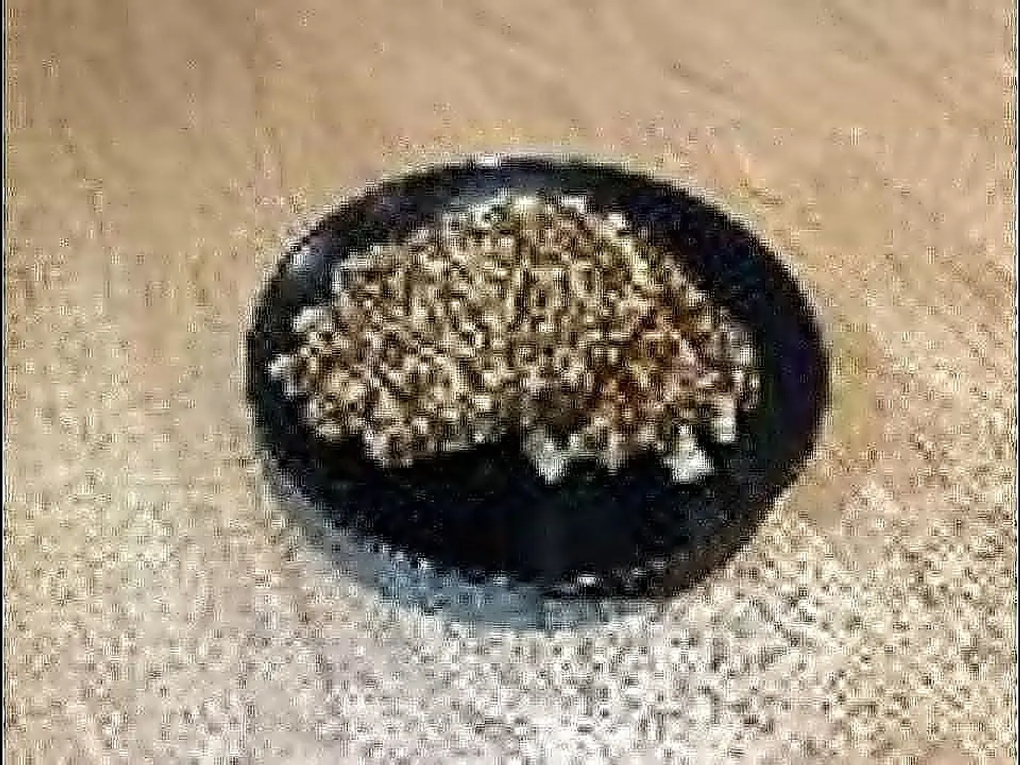 Chocolate Waffle + (Hot Drink, Tea Talqeem Or Karak)