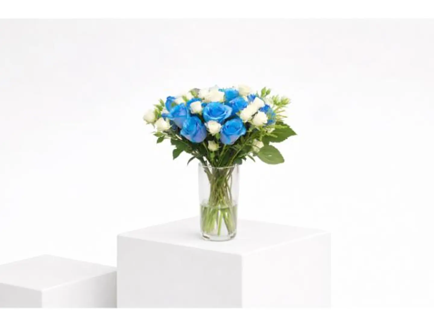 فازة سديم النقاء