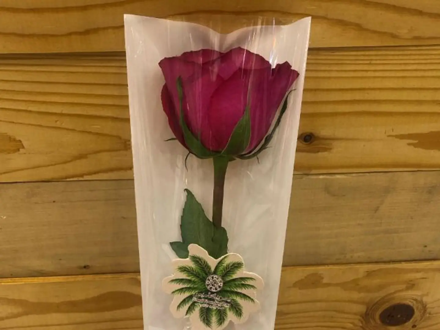 Rose Foundation Day 6