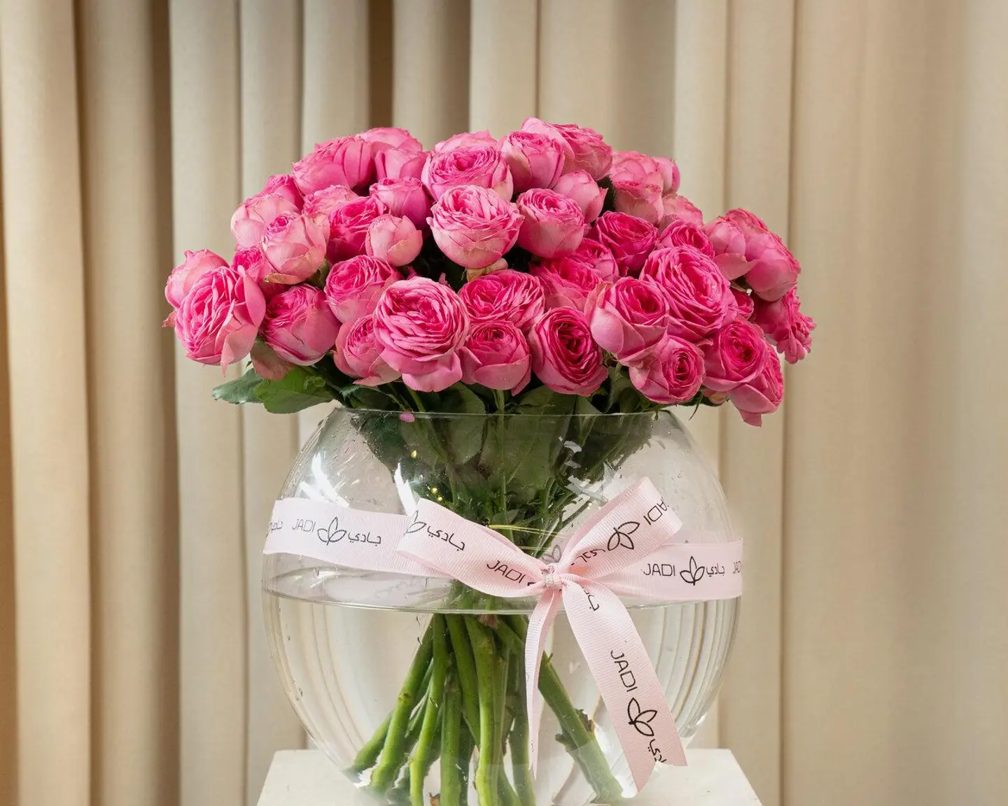 فازة بيانكا