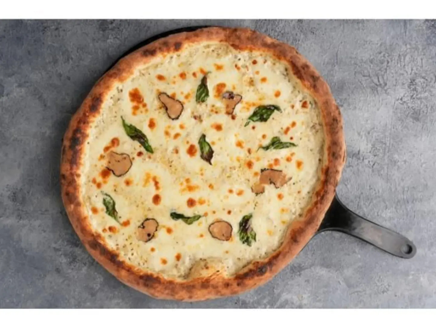 Truffle Pizza