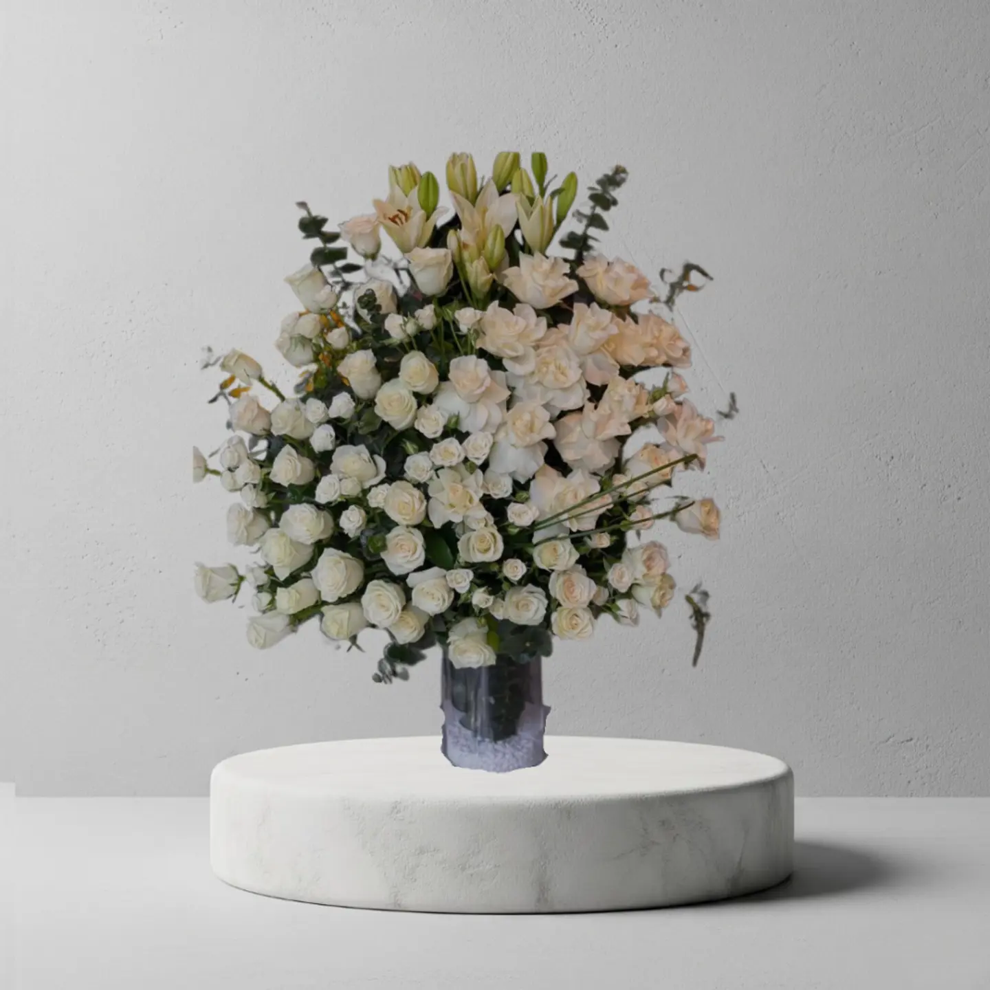 فازا الاطلاله الساحره