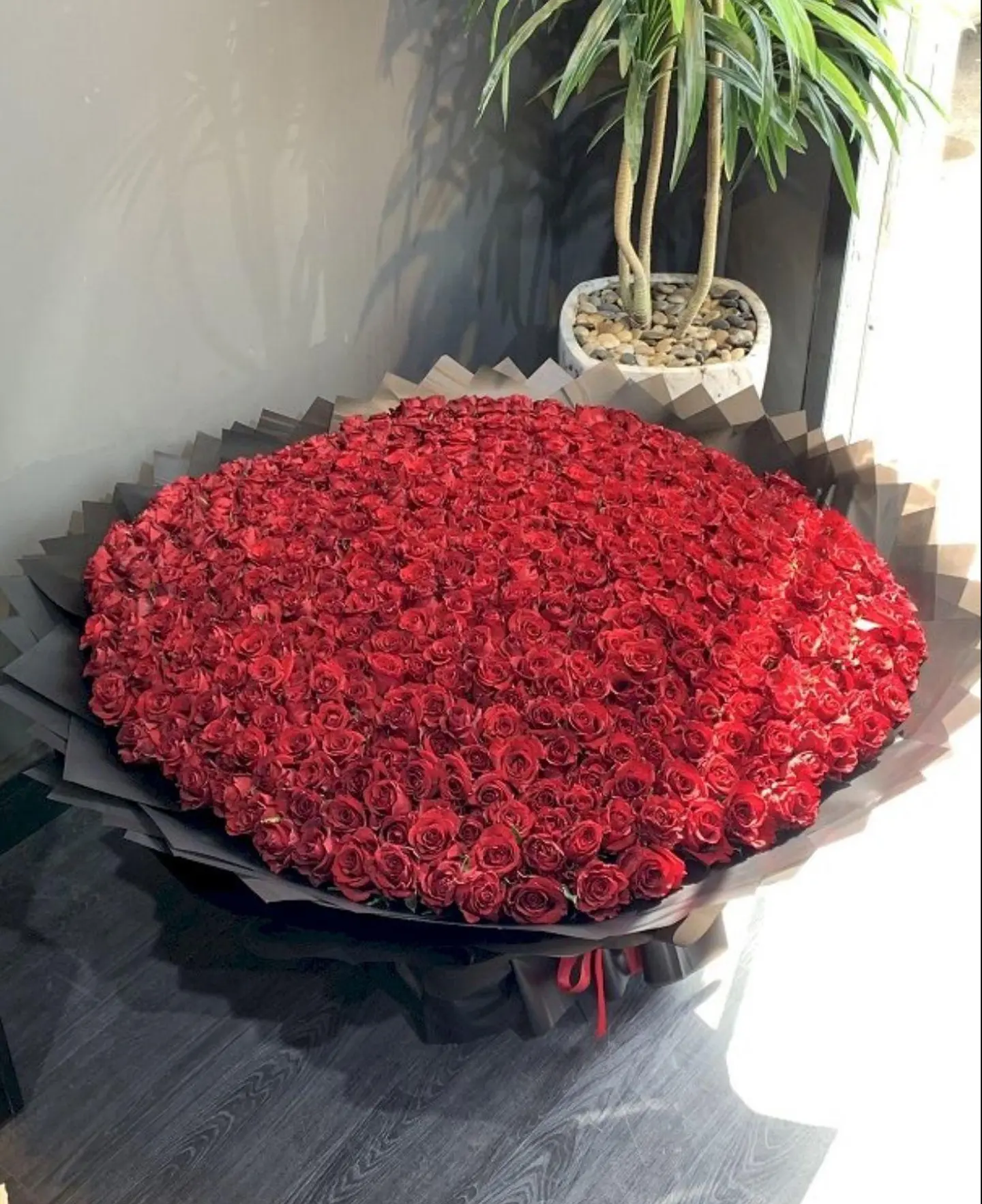 باقة الحب الاكيد