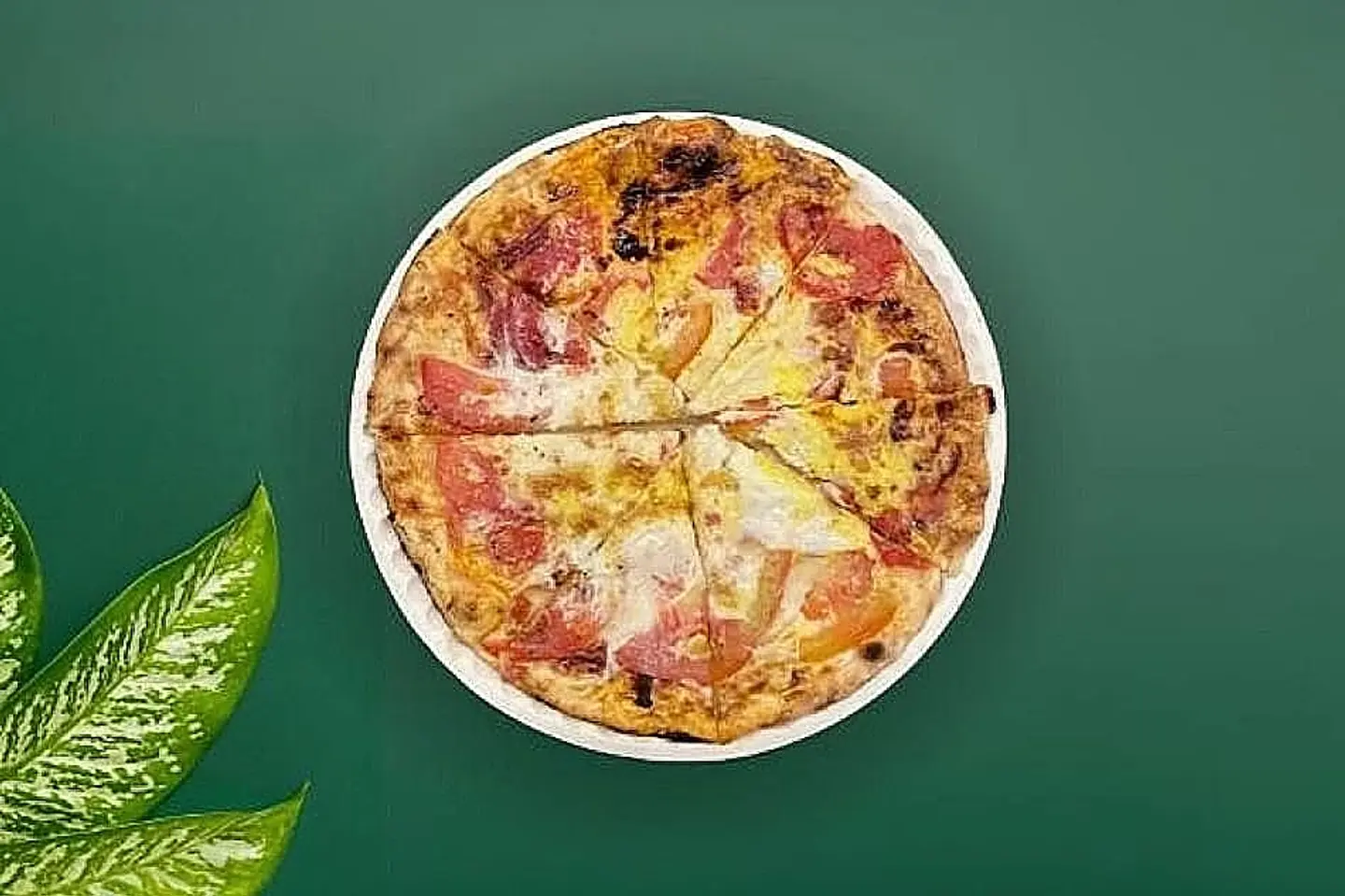 Cheese With Tomatoe