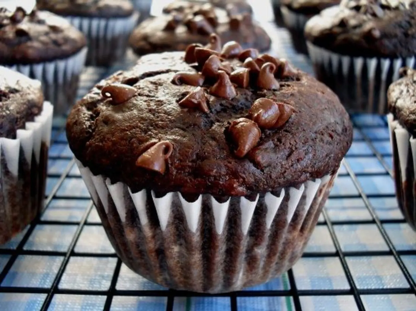 Muffin