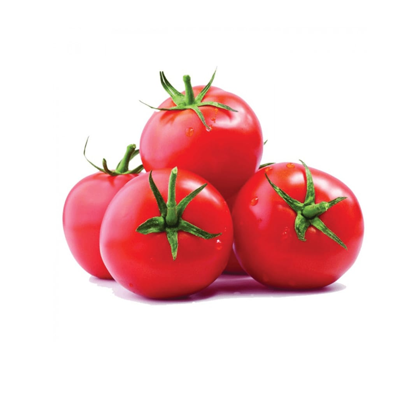 طماطم القصيم