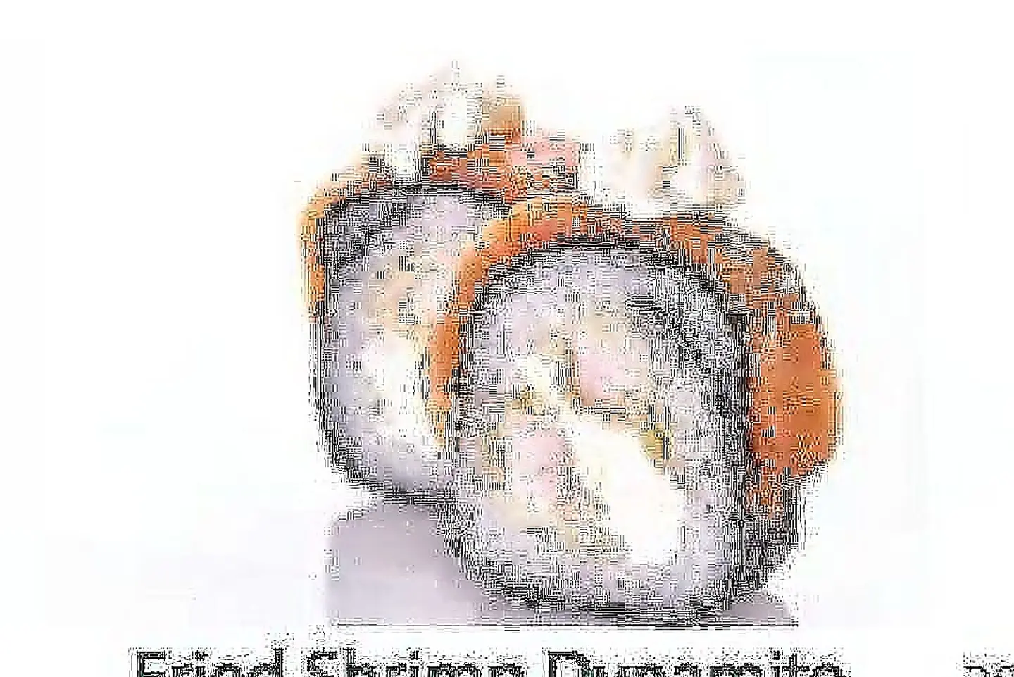 Dynamite Fried Shrimp