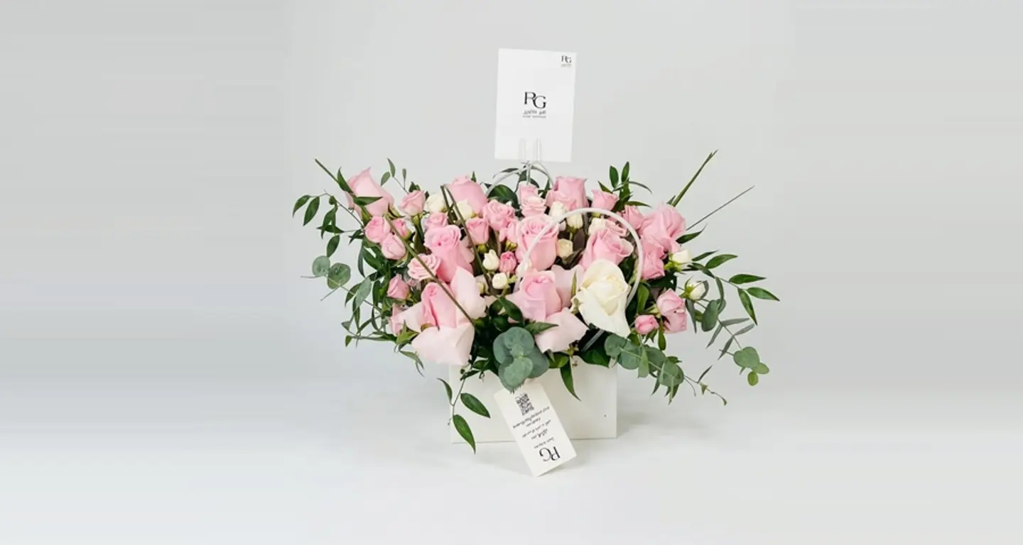 بوكس ورد رقم.١٧٧٤٧