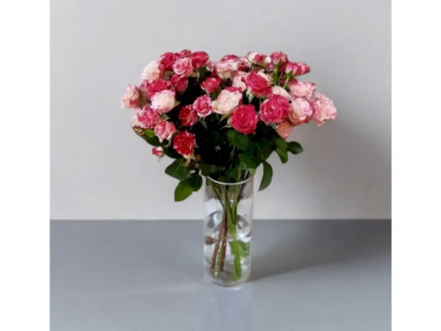 فازة ورد - فيُ