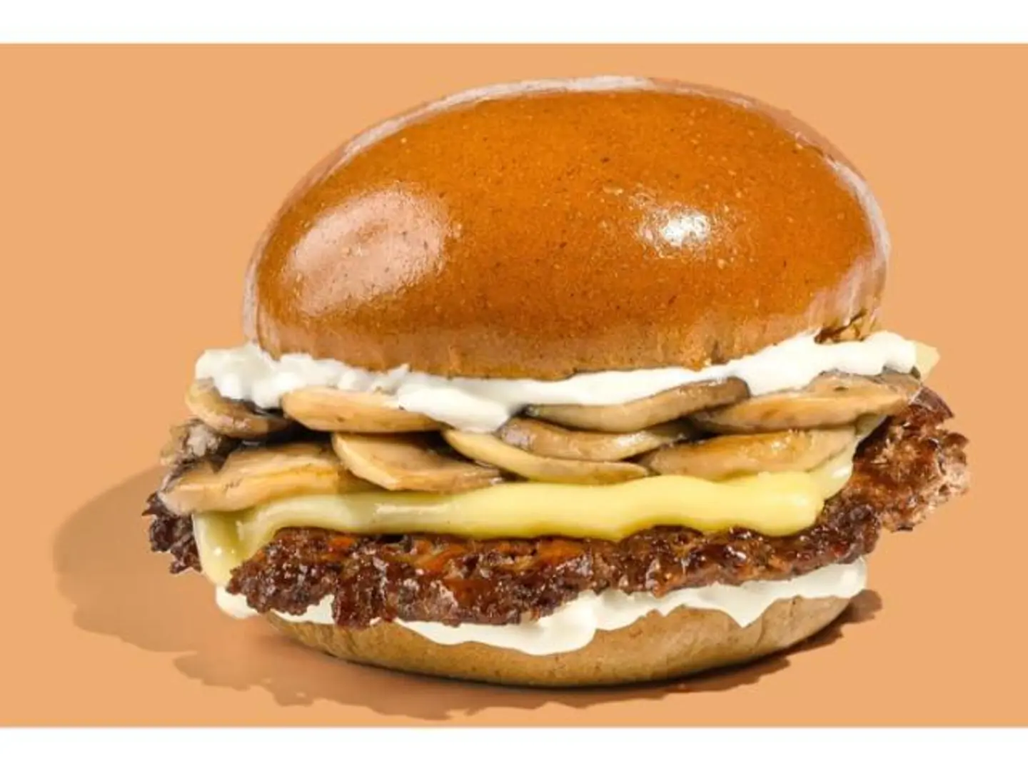 مشروم أند سويس