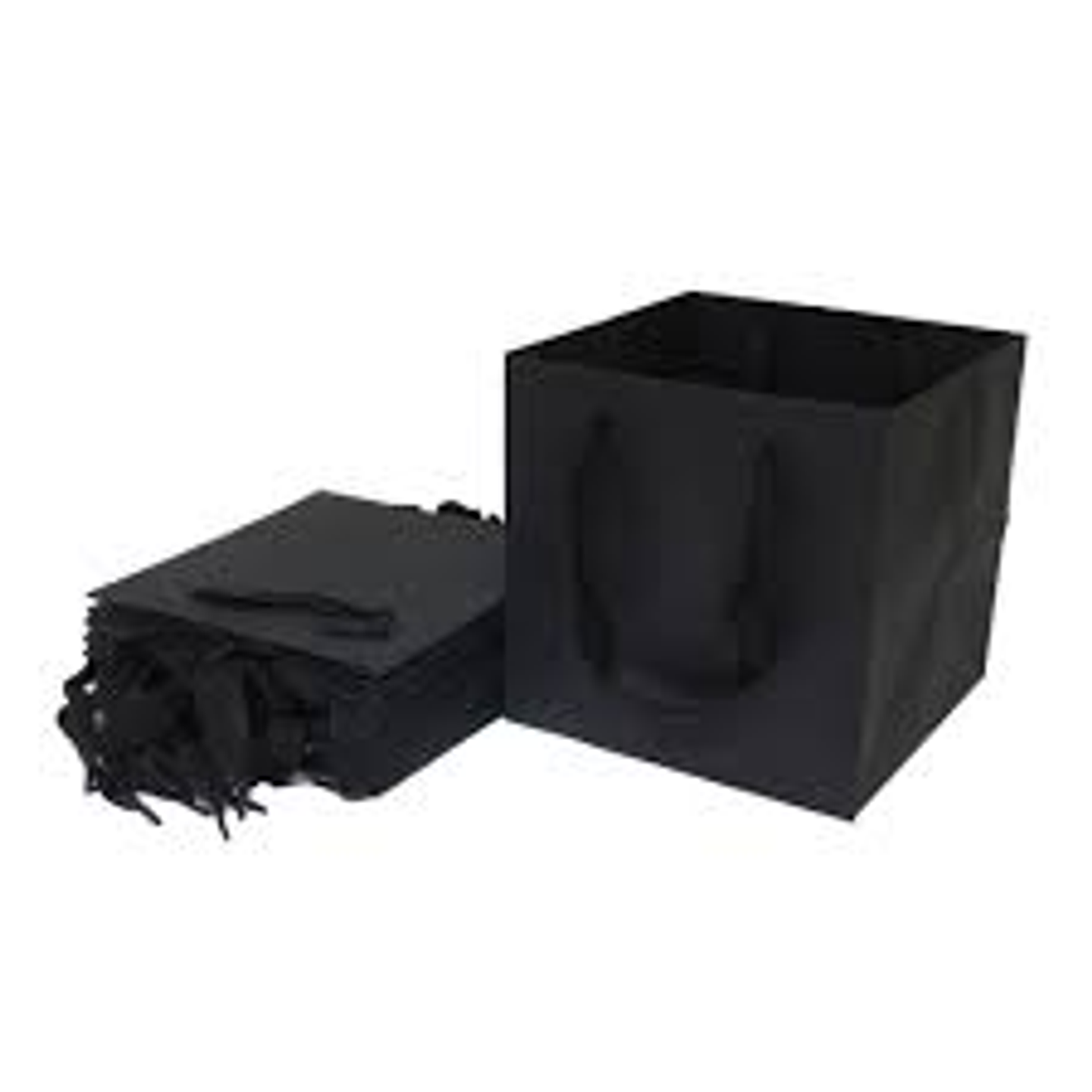 Gift Bag Black Large 0171