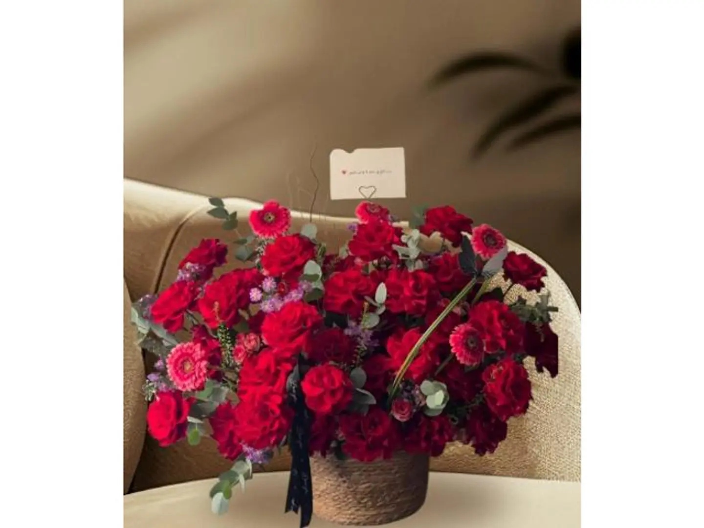 فازه السله والجلبيراء الاحمرالمبهج