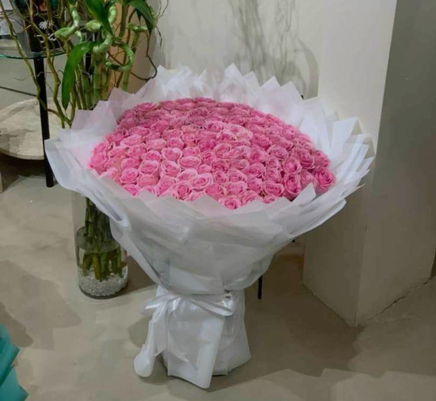 نواعم 2