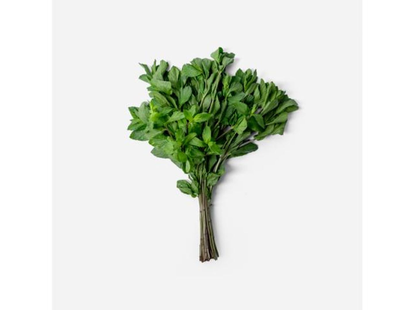 Mint   Local   Per Bundle