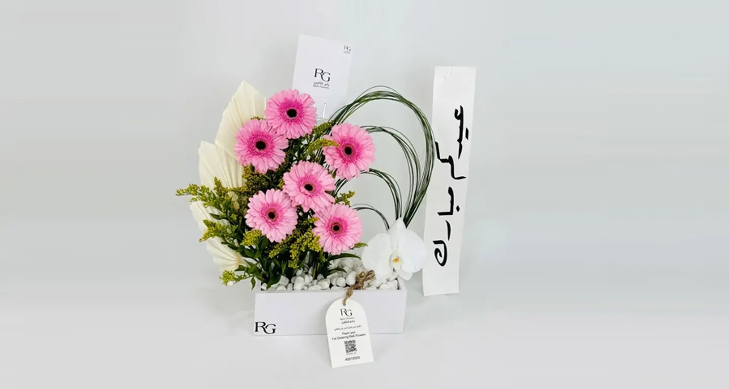 بوكس ورد رقم.١٧٦٠٣