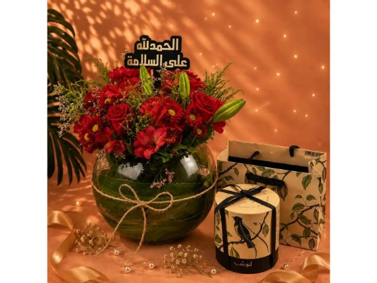 Anoush Word Reno Anoush 4