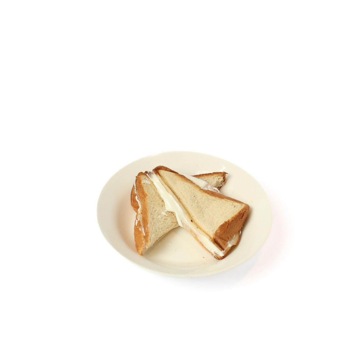 ديك رومي