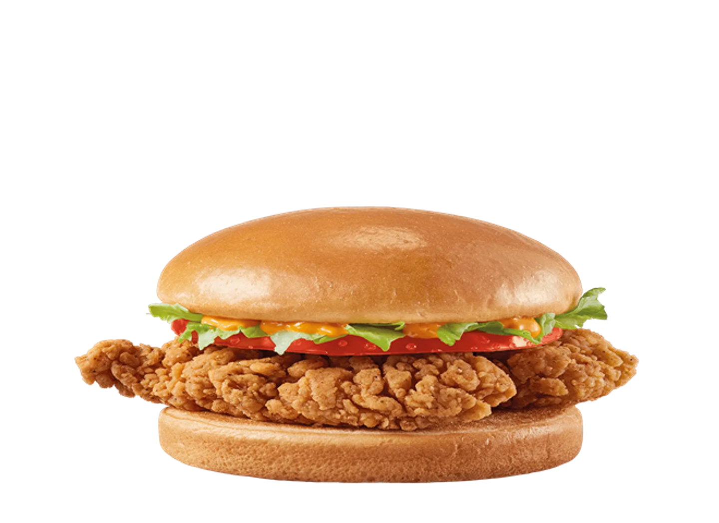 Mr. Crispy Chicken