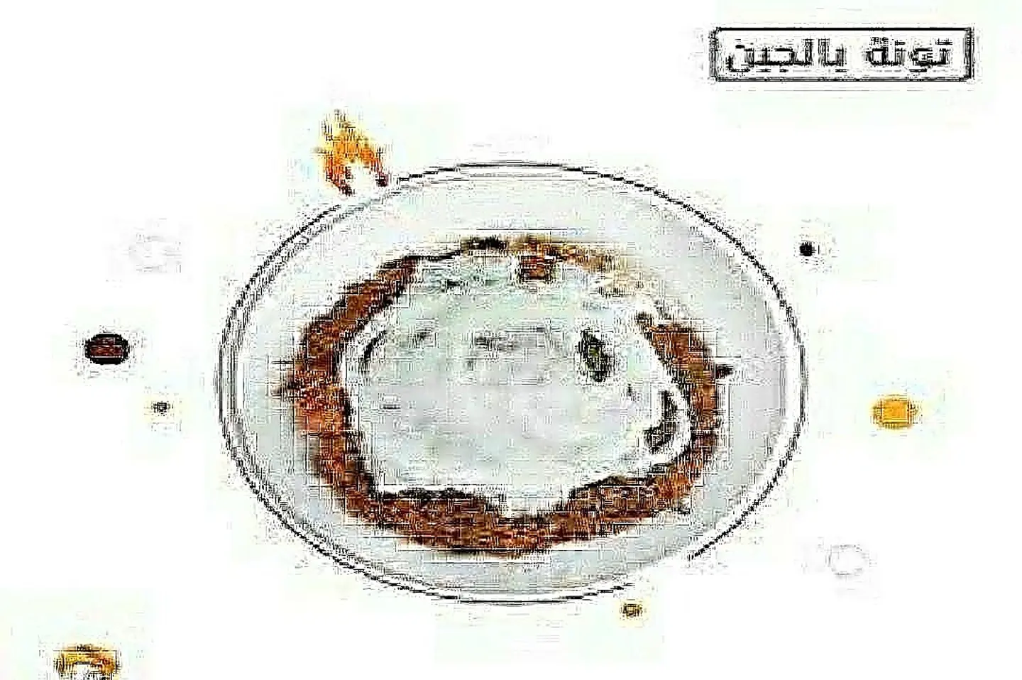 تونة بالجبن