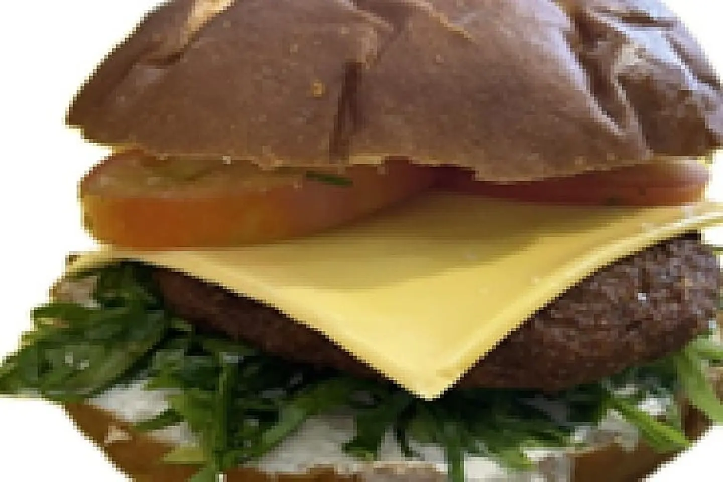 Beef Mashroom Burger