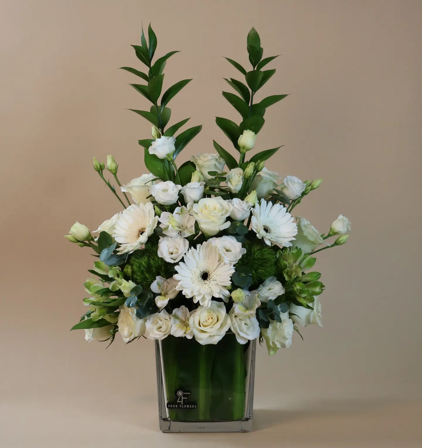 فازة 10