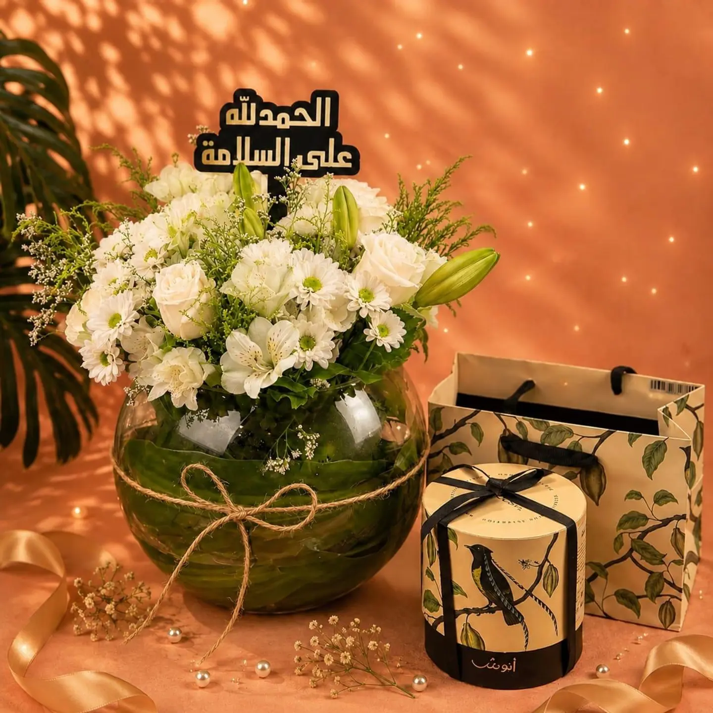 انوش وورد رنو 5
