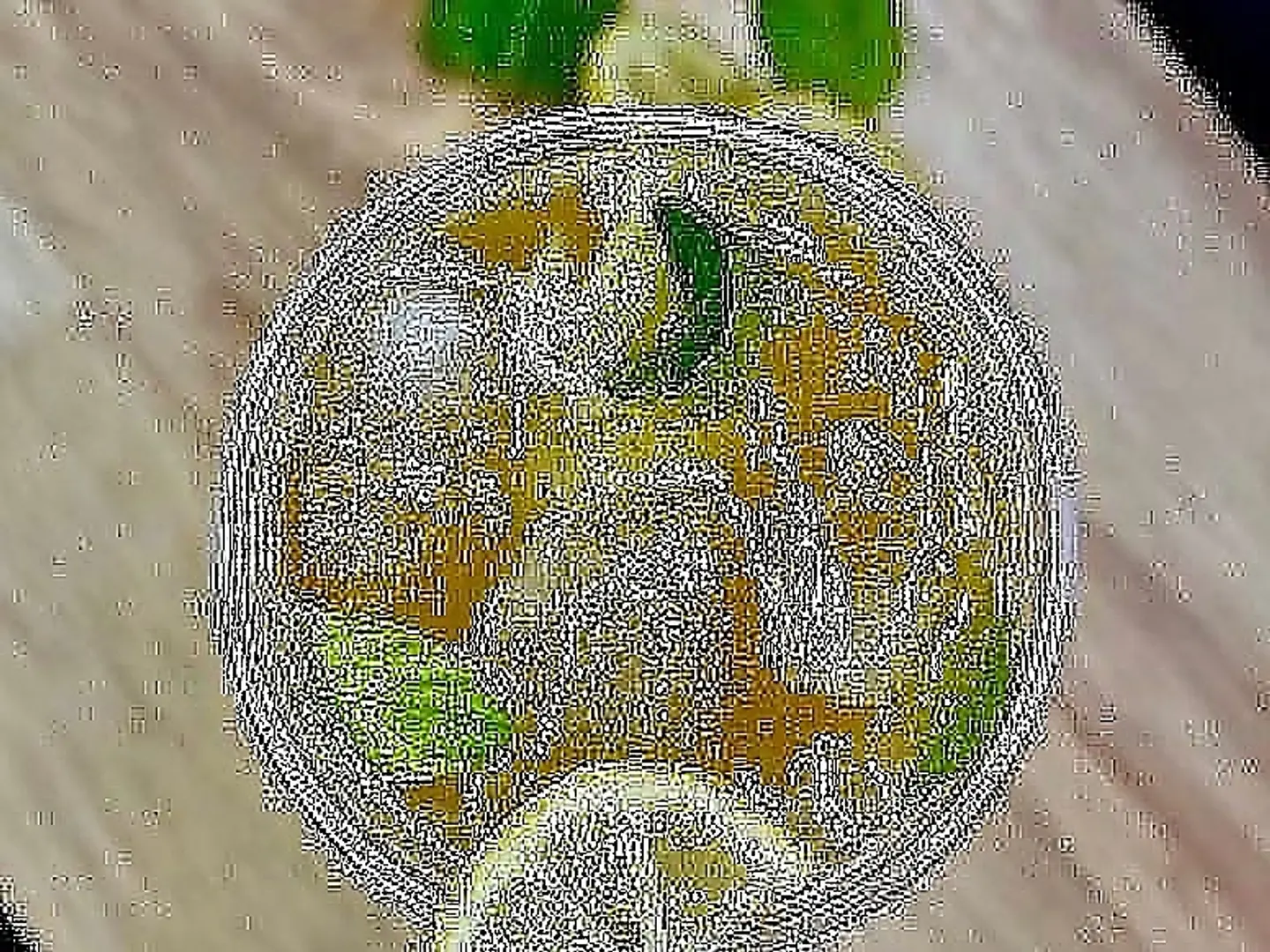 موهيتو باشن فروت