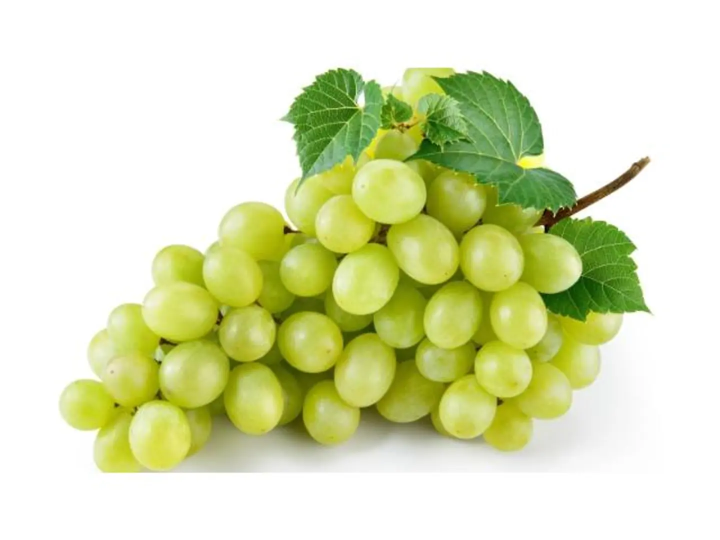 White Grapes 500 Grams
