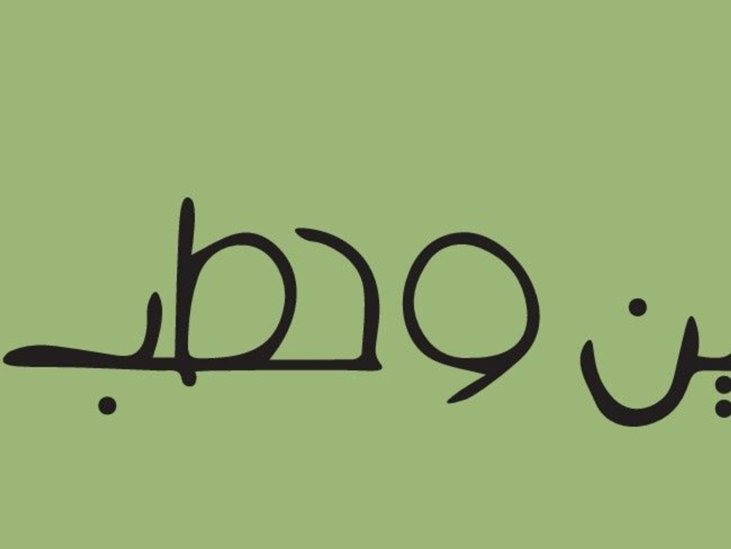 Large Falafel Mini Box 32 Pieces