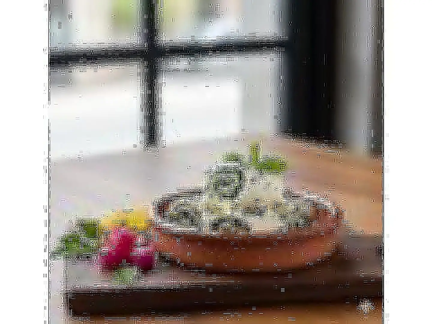 Small Rolled Cheese