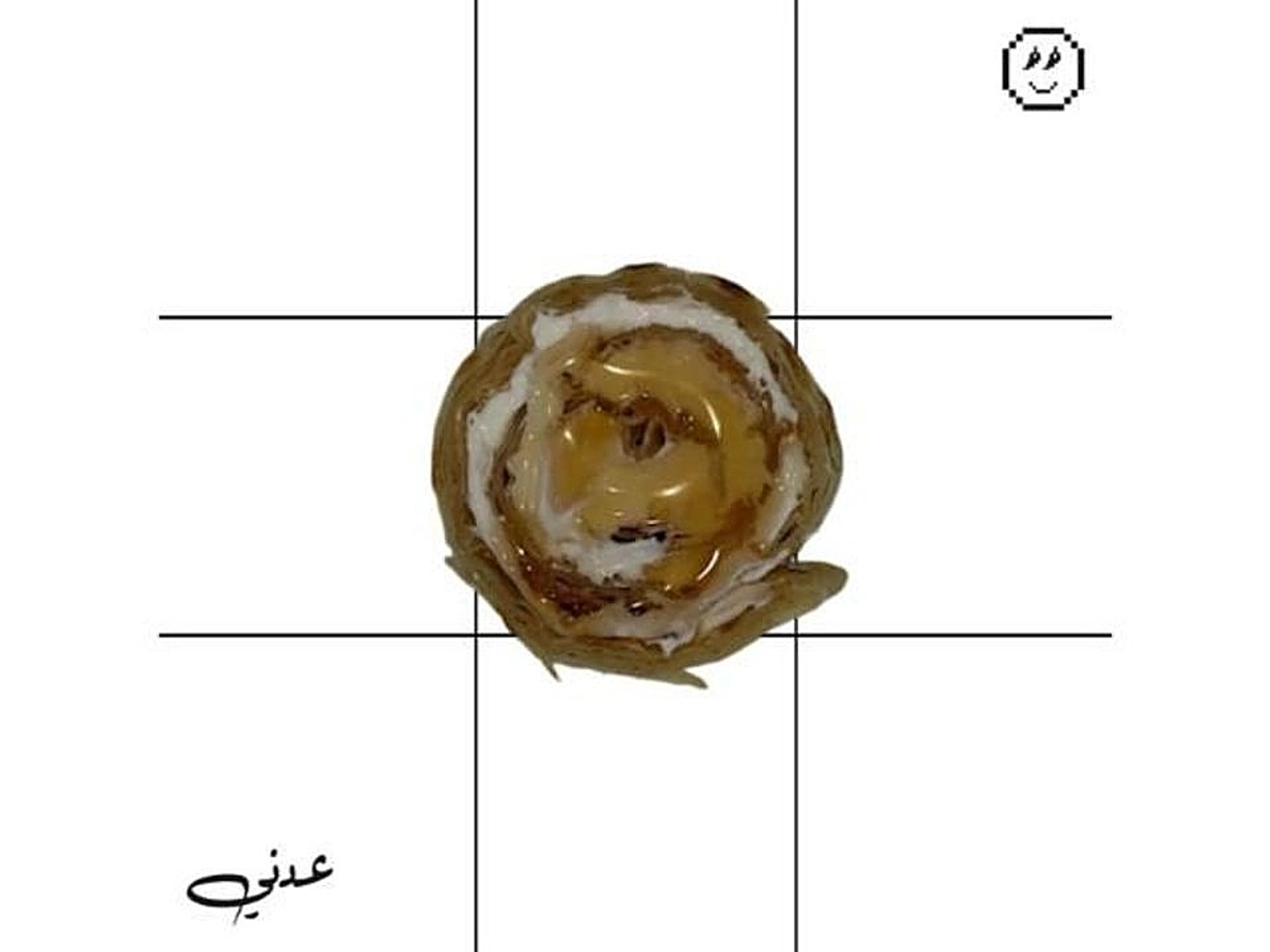 شباتي لبنه عسل