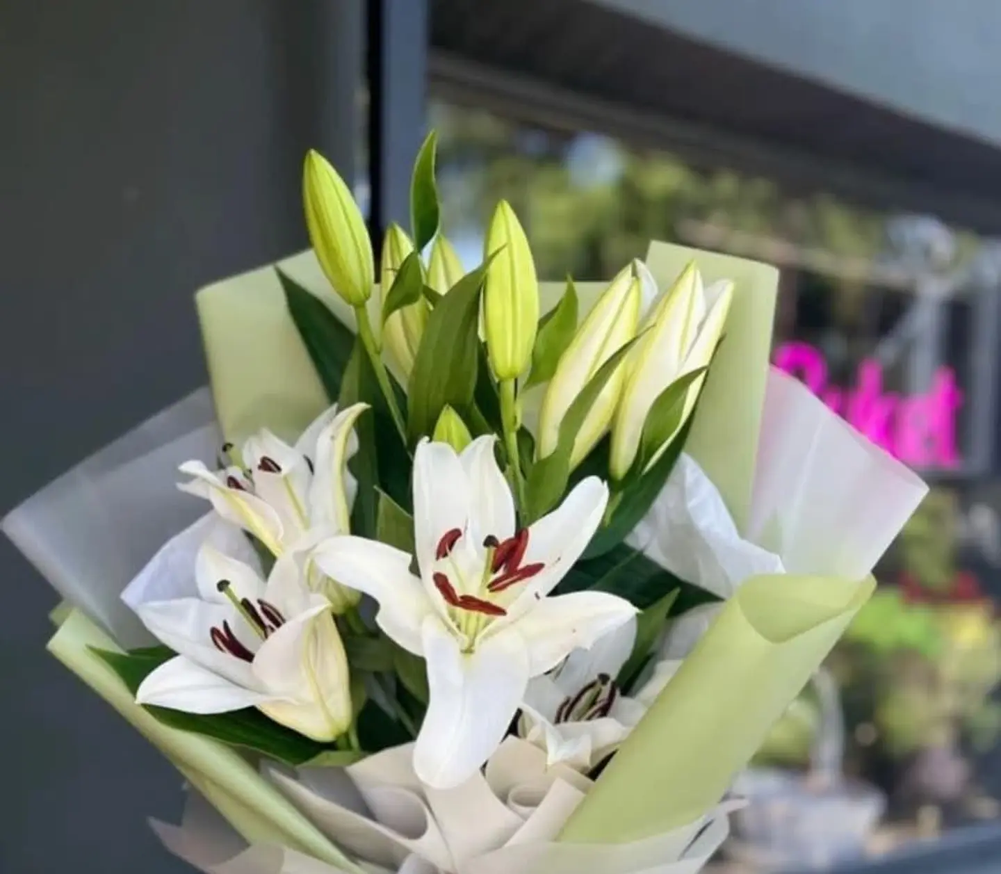 Casablanca With Green And White Wrapping