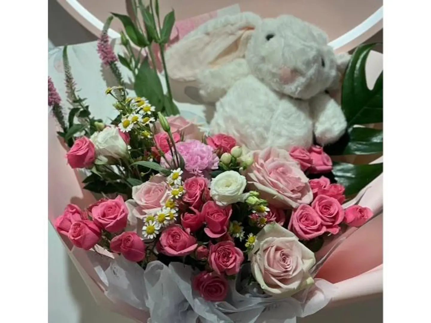 بوكس مولودة