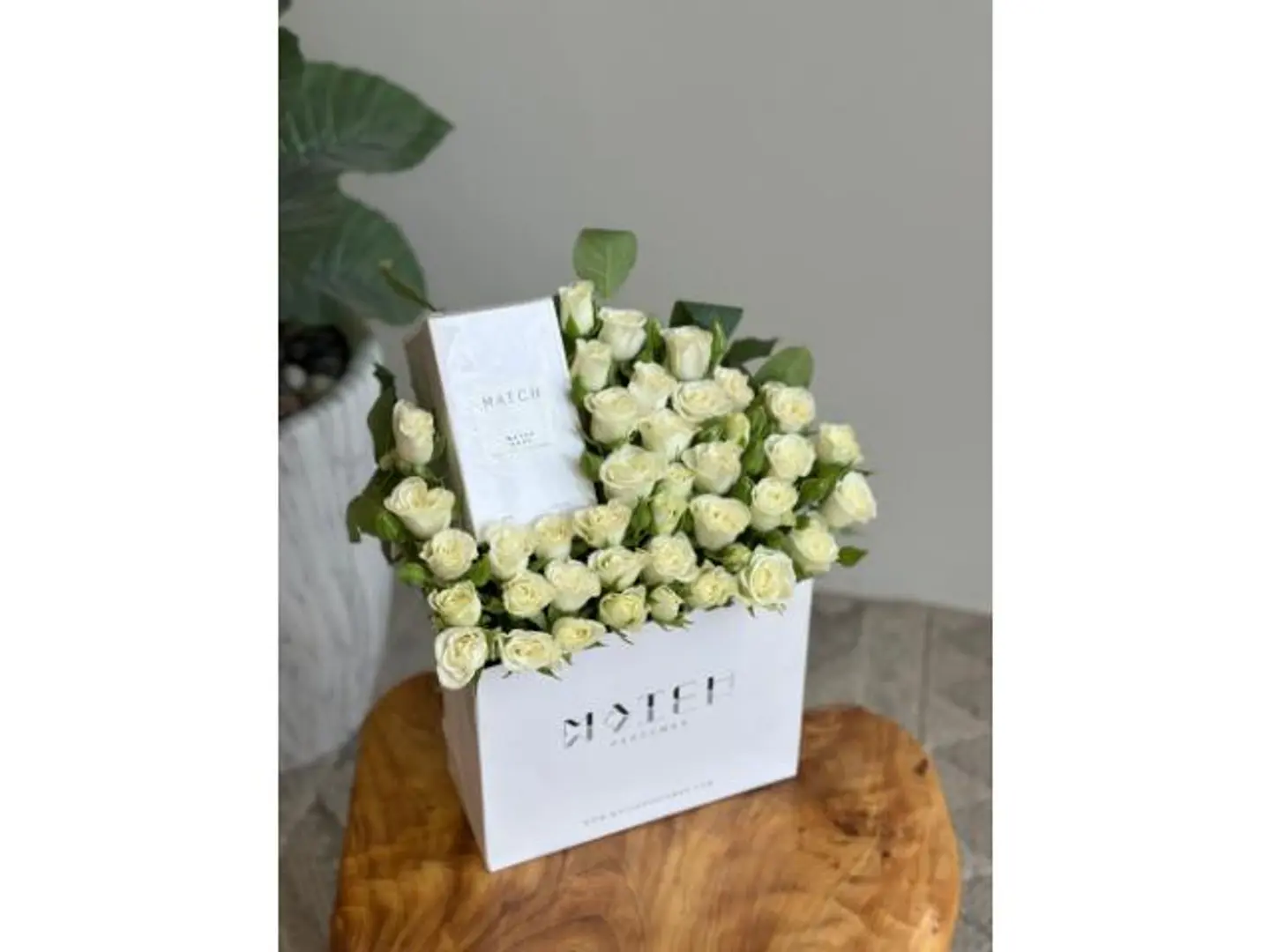 عطر ماتش سووف