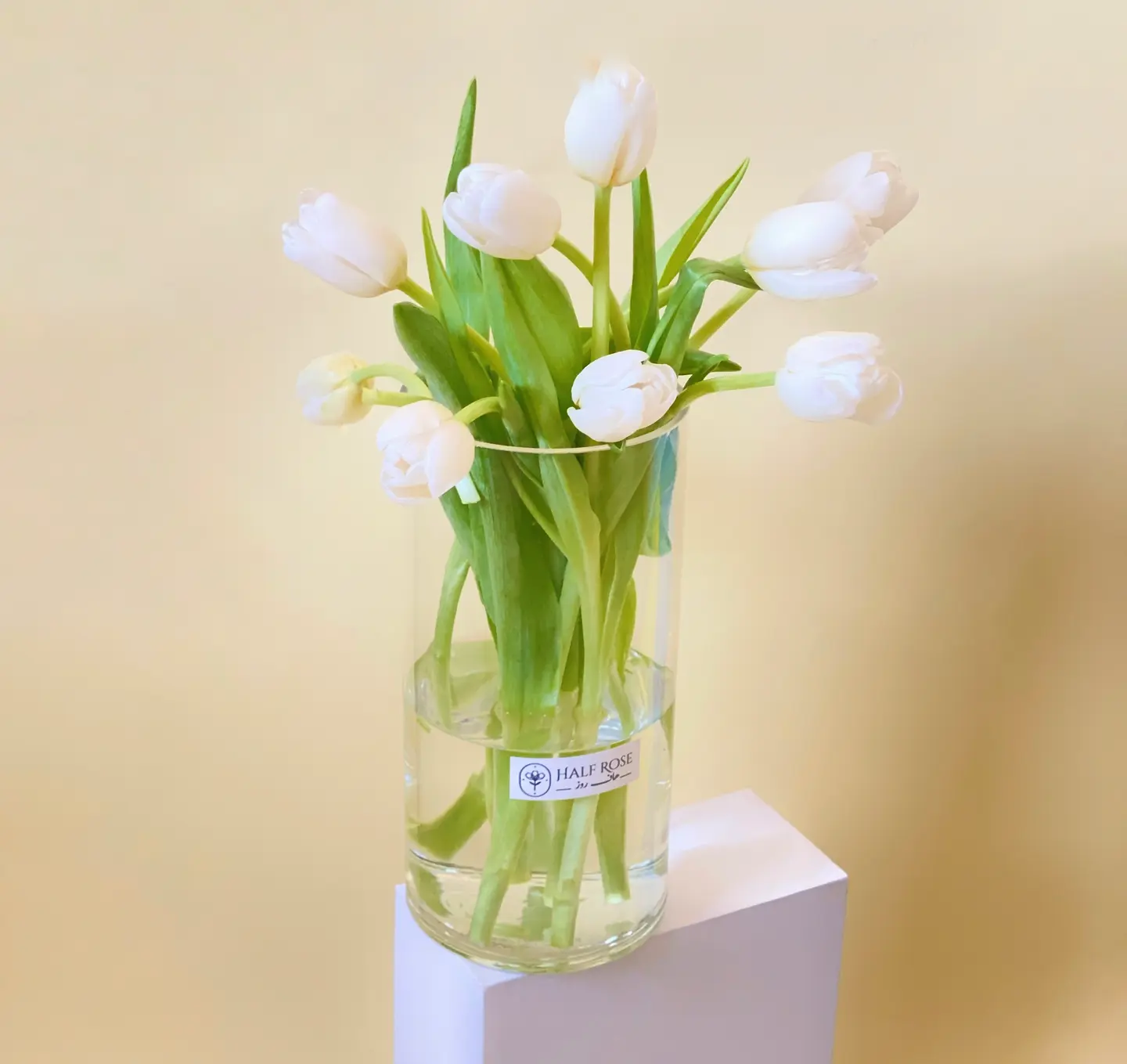 White Tulip Vase