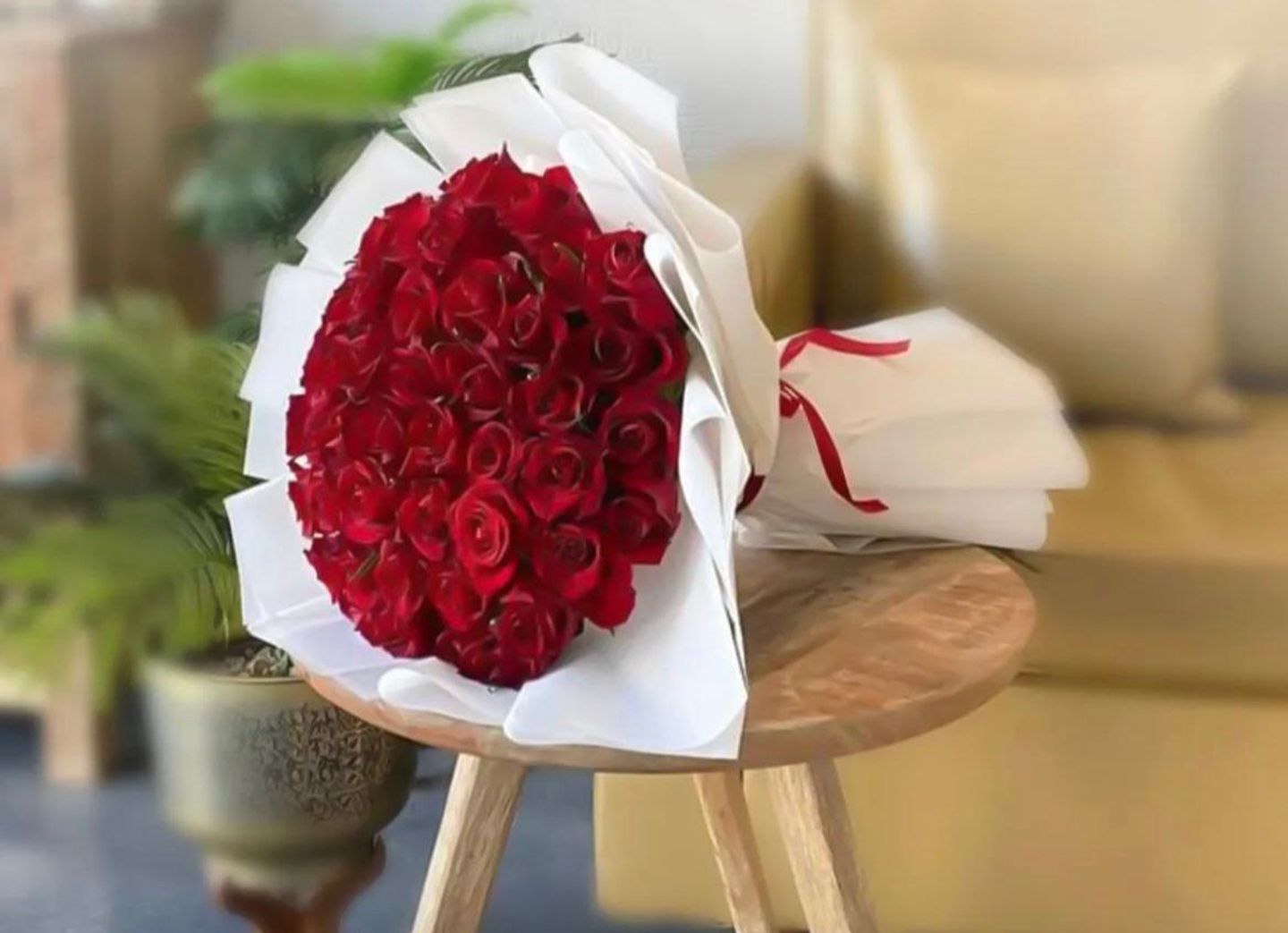 باقة الاحبة