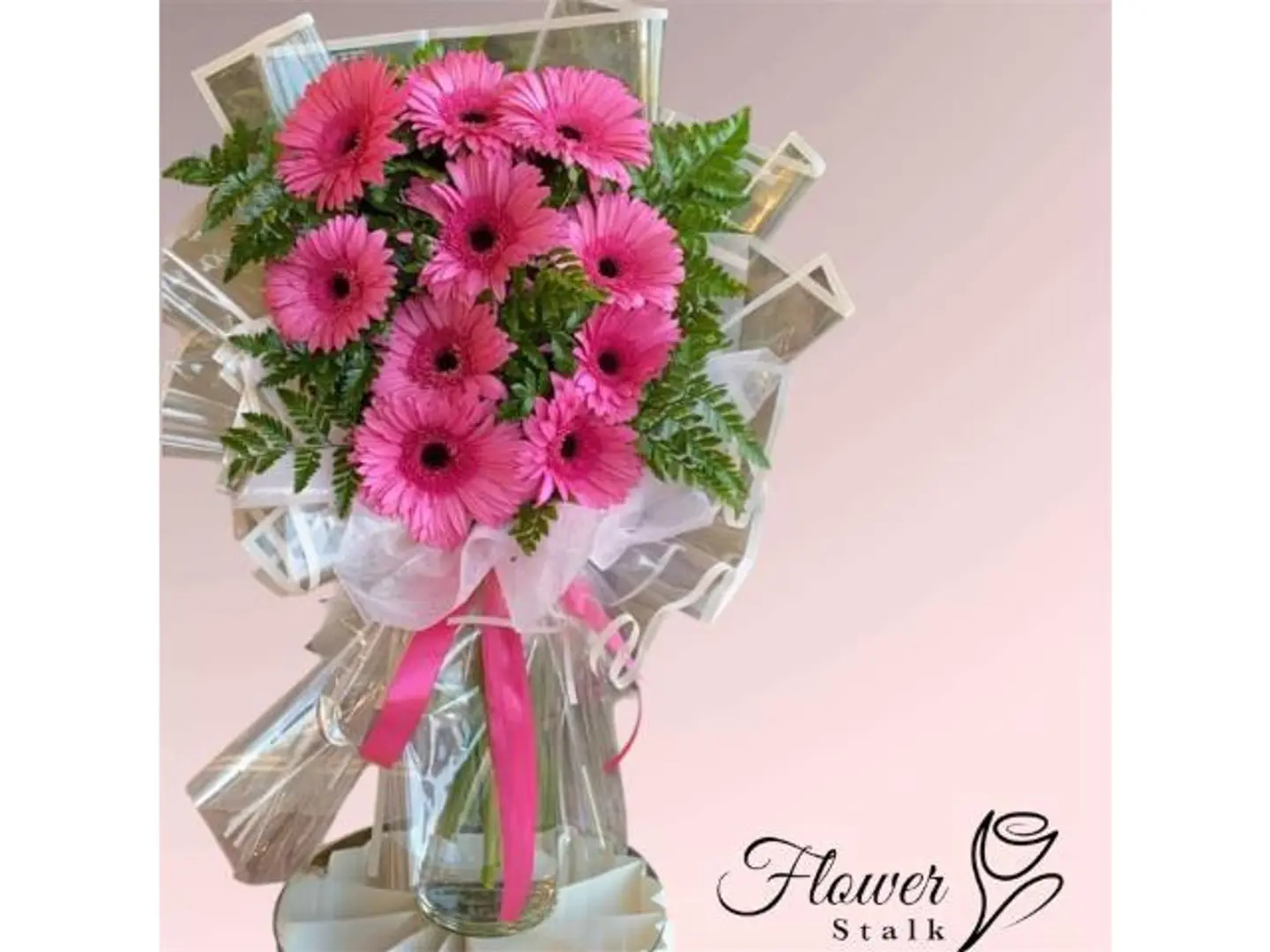 باقة الجربيرا الوردية