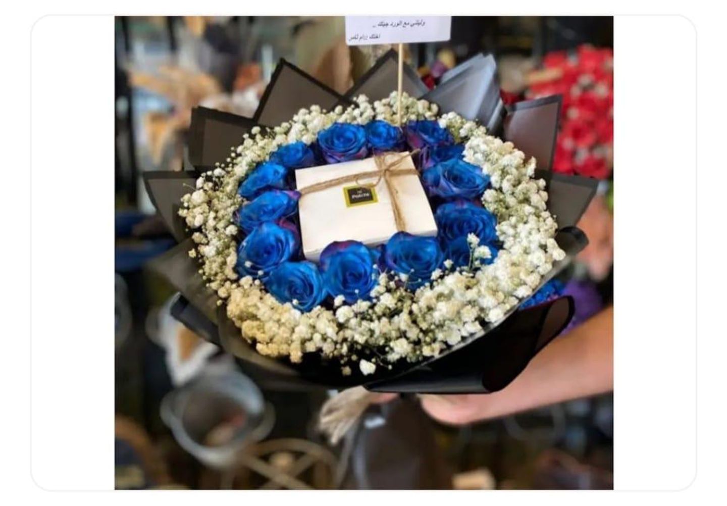 برونيرا