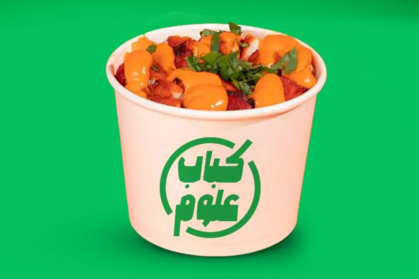 بطاطس تكا دجاج