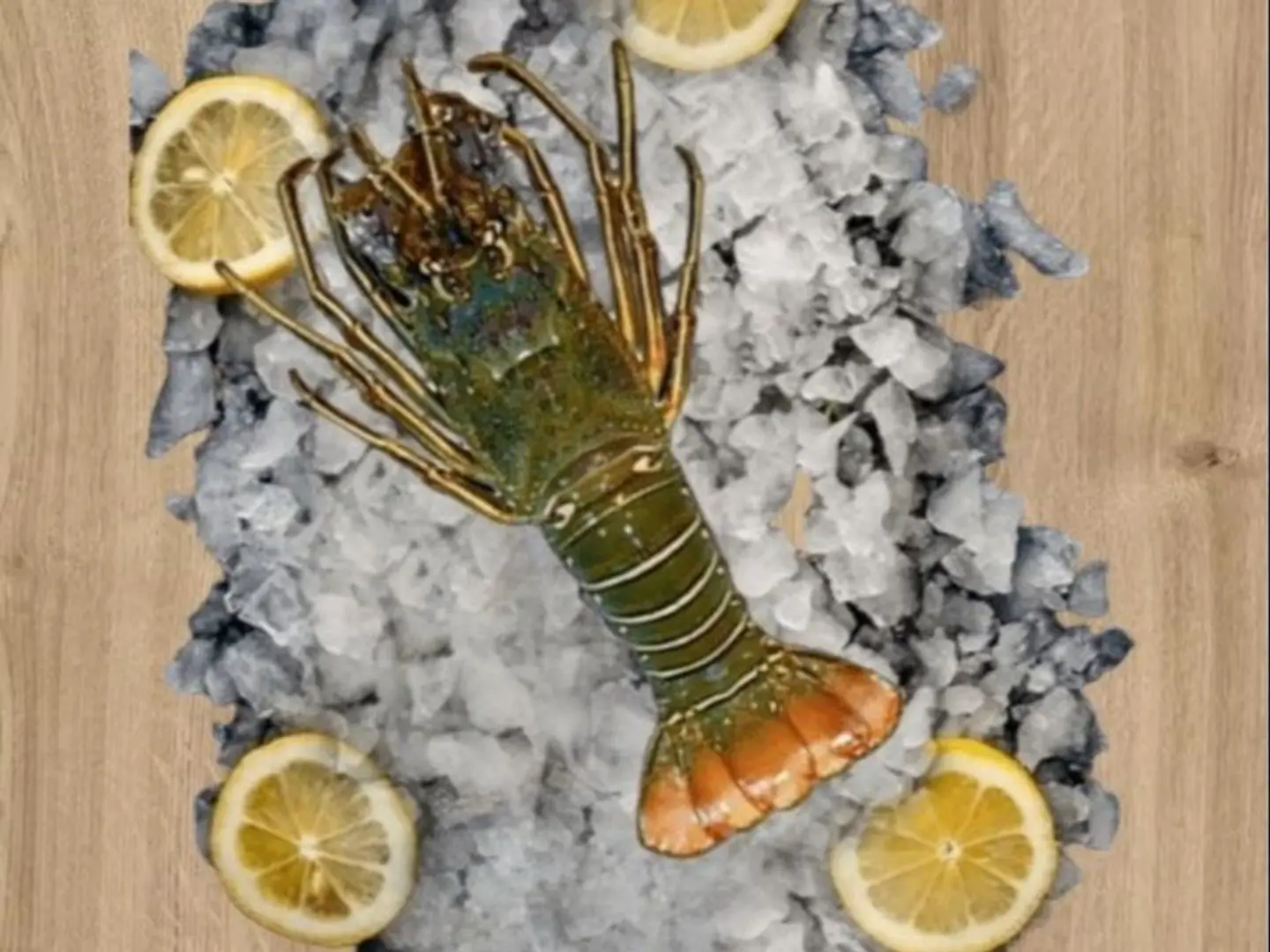 استكوزا 600 جرام