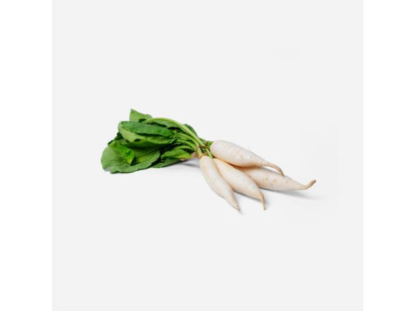 White Radish