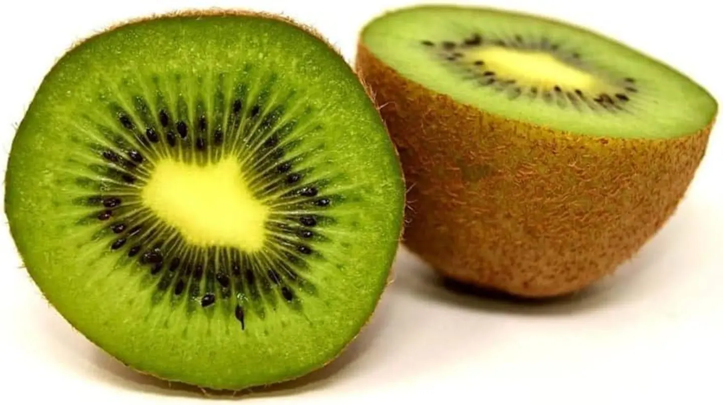 New Zealand Kiwi