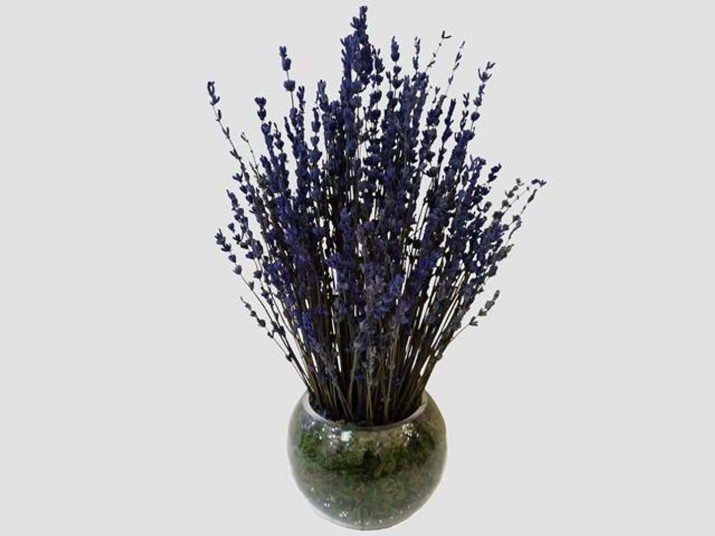 Lavender Vase Sm