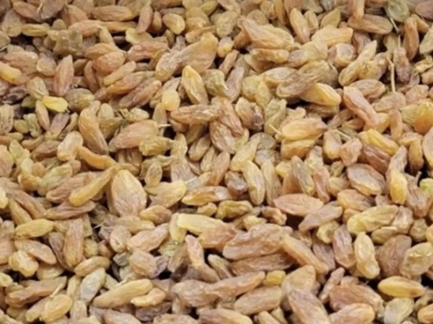 Yemeni Raisins