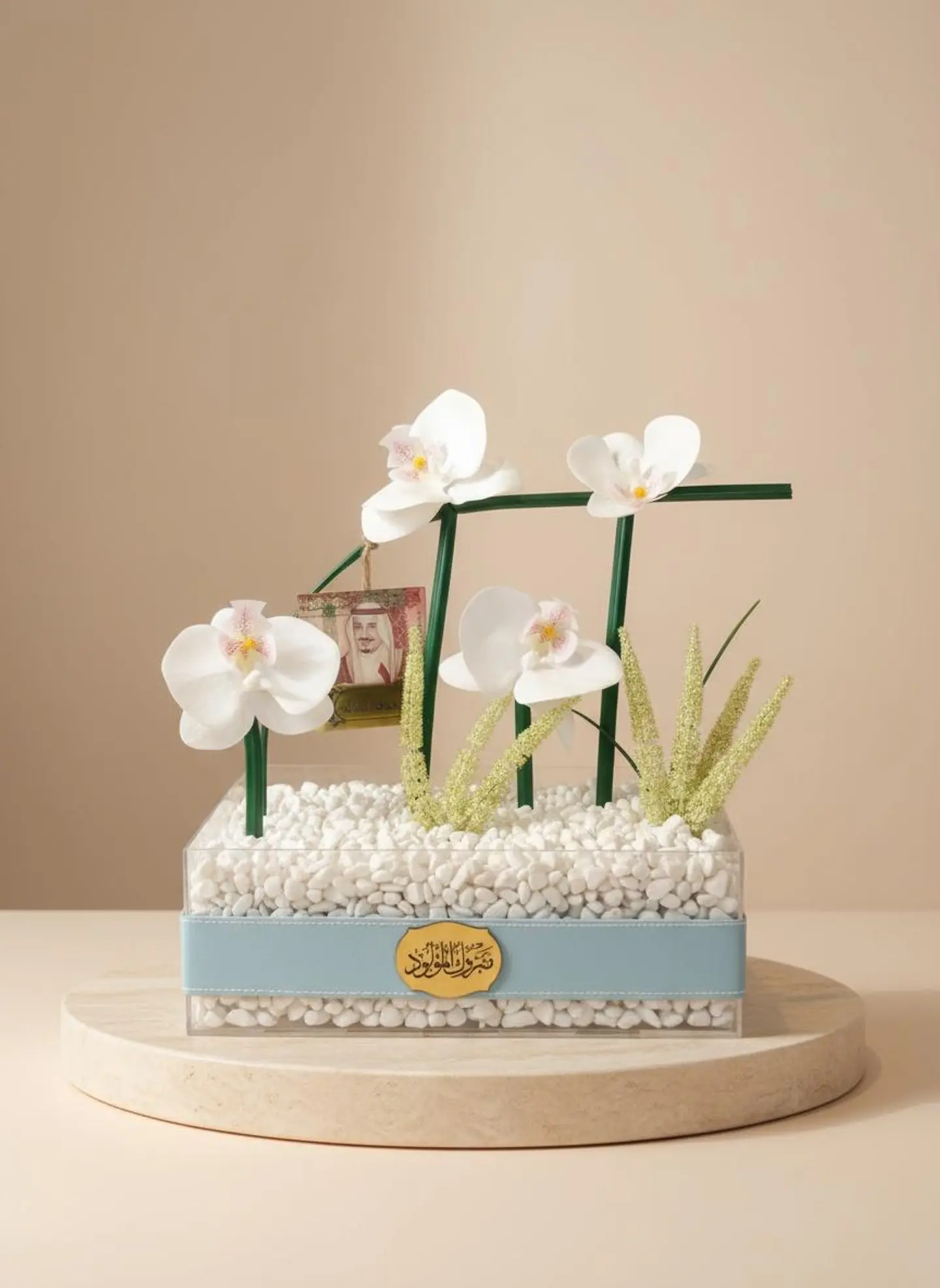 هدية مولود ولد