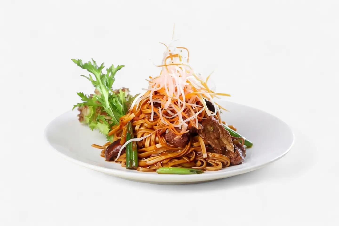 Shanghai Beef Noddles