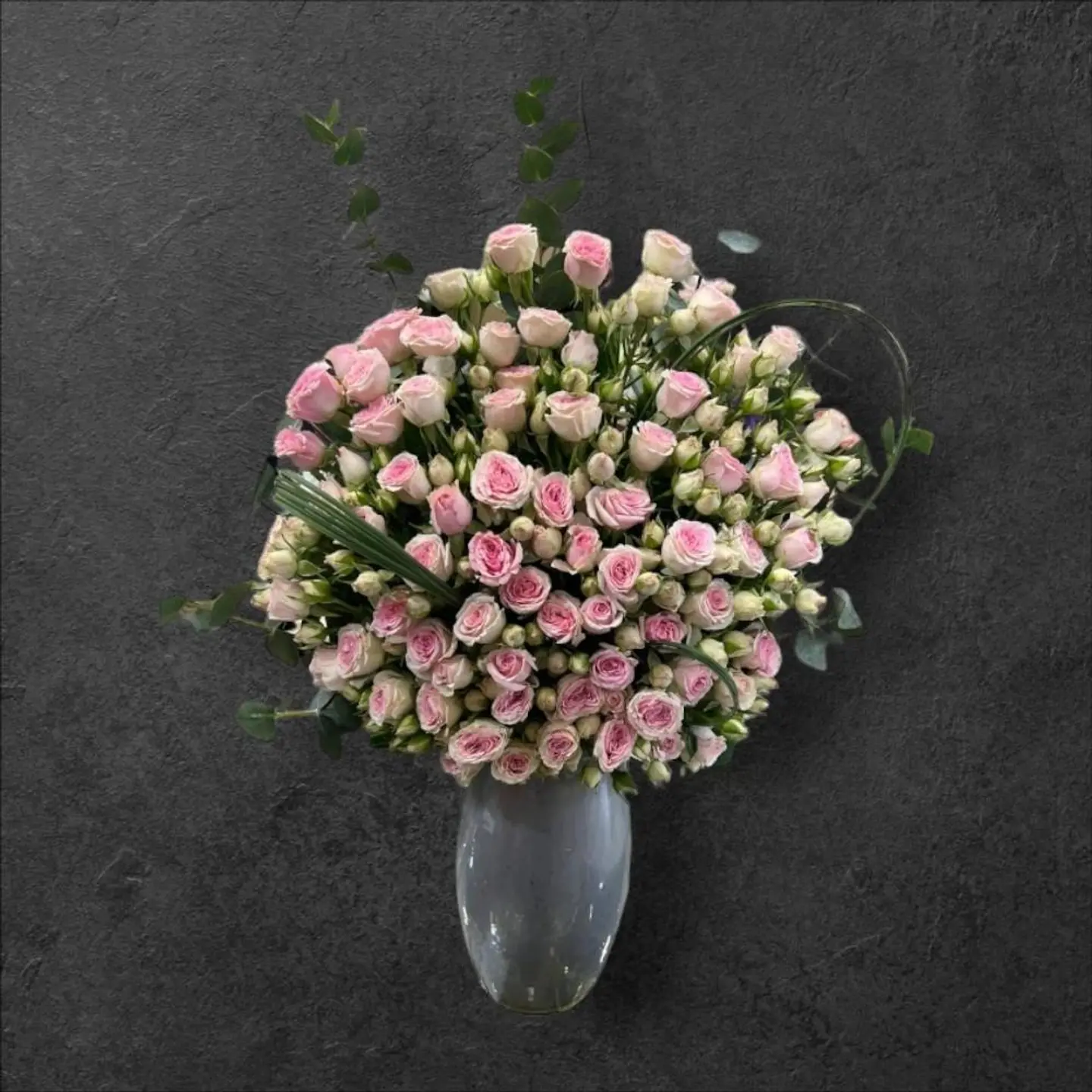 فازة ملامح